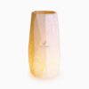 Facet Planter Lamp Pasta White