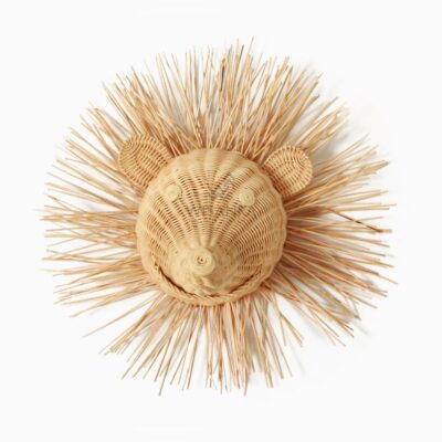 Hedi The Hedgehog - Head Wall Decoration