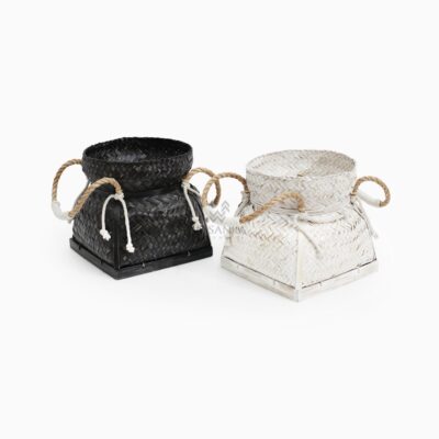 Daissy Basket Ceting