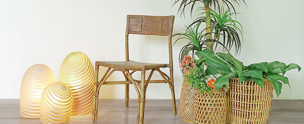 Sustainable Solutions for Your Living Spaces
